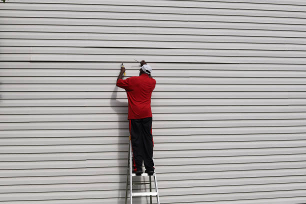 Trusted Cheval, FL Siding Installation & Repair Experts