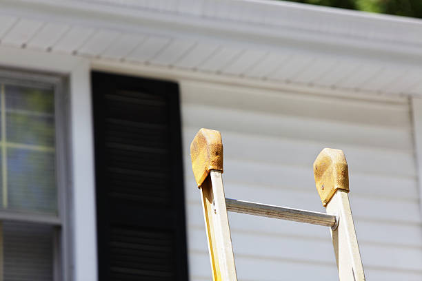 Best Historical Building Siding Restoration  in Cheval, FL